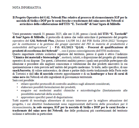 Immagine1